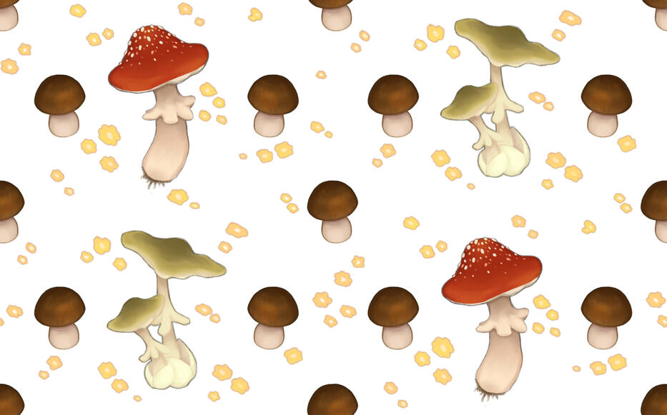 Smaller size + clear background variant